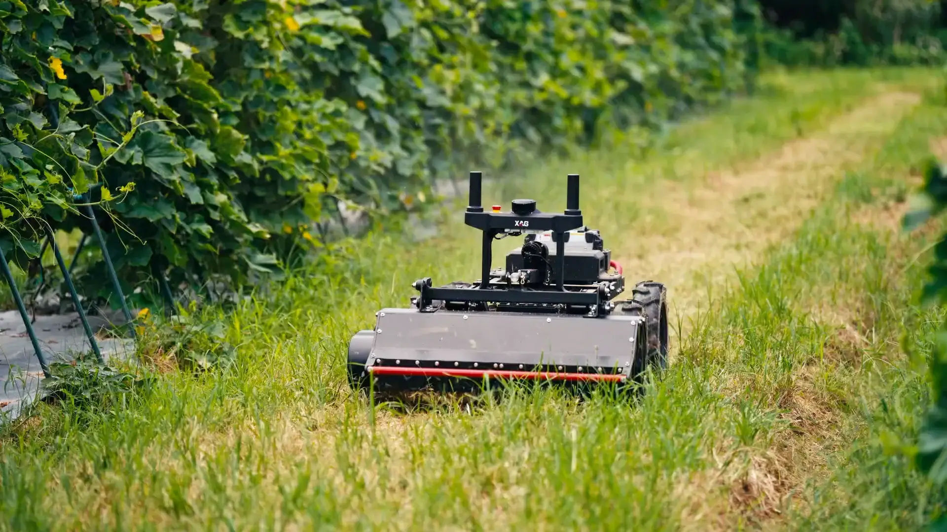 XAG RM80 mowing between orchard rows